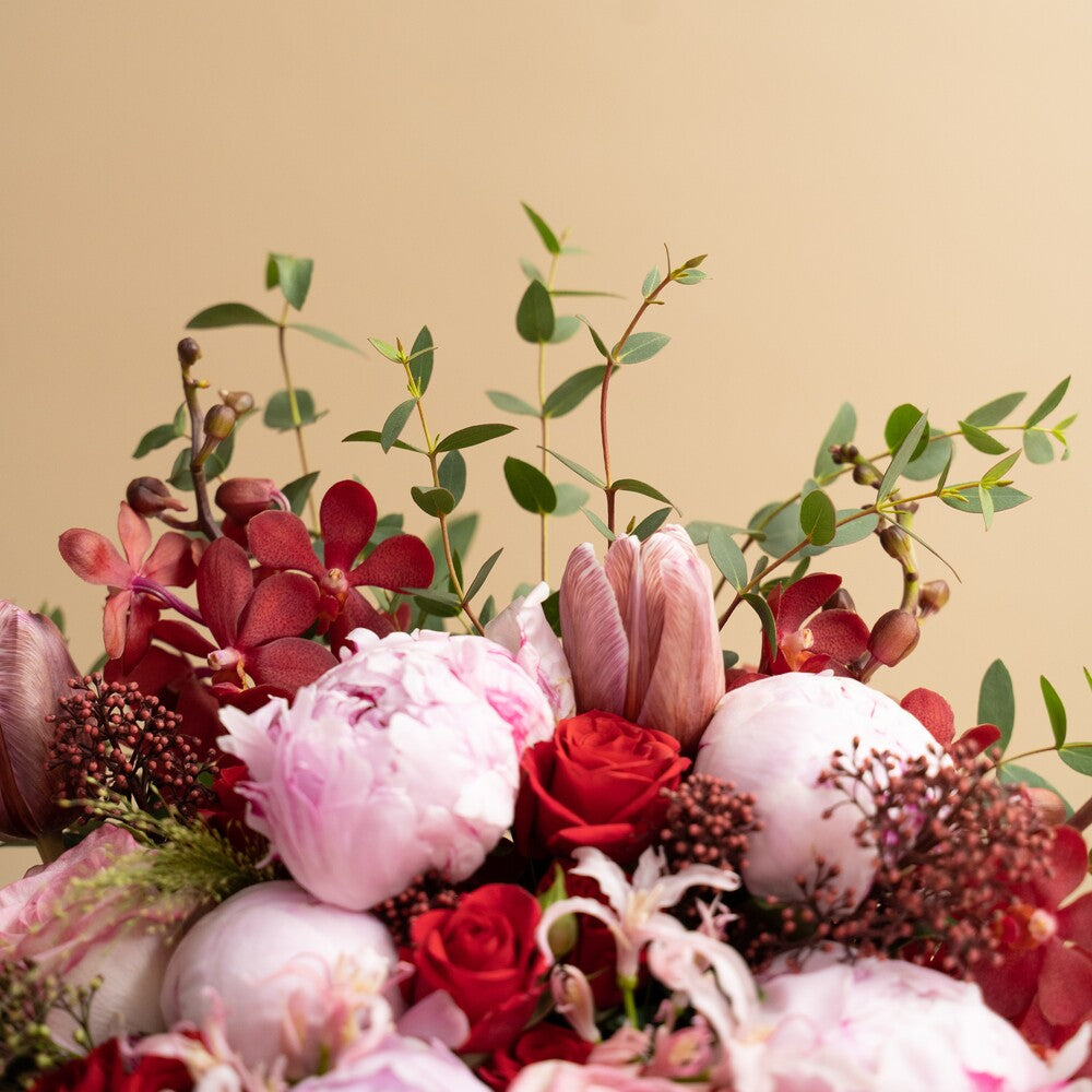Peony In Love