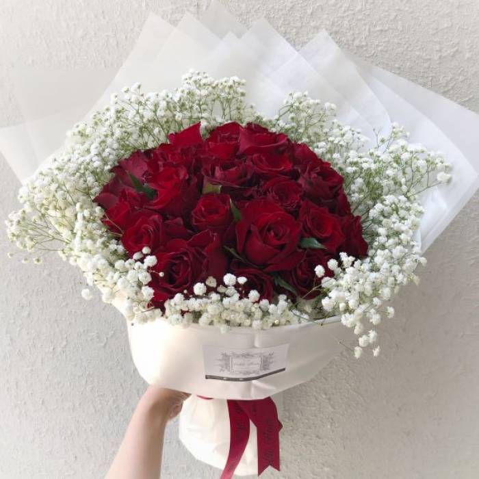 36 Premium Roses with Gypsophila