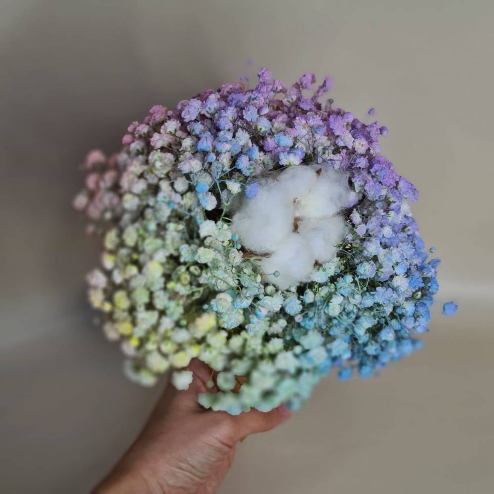 Cotton Dreams