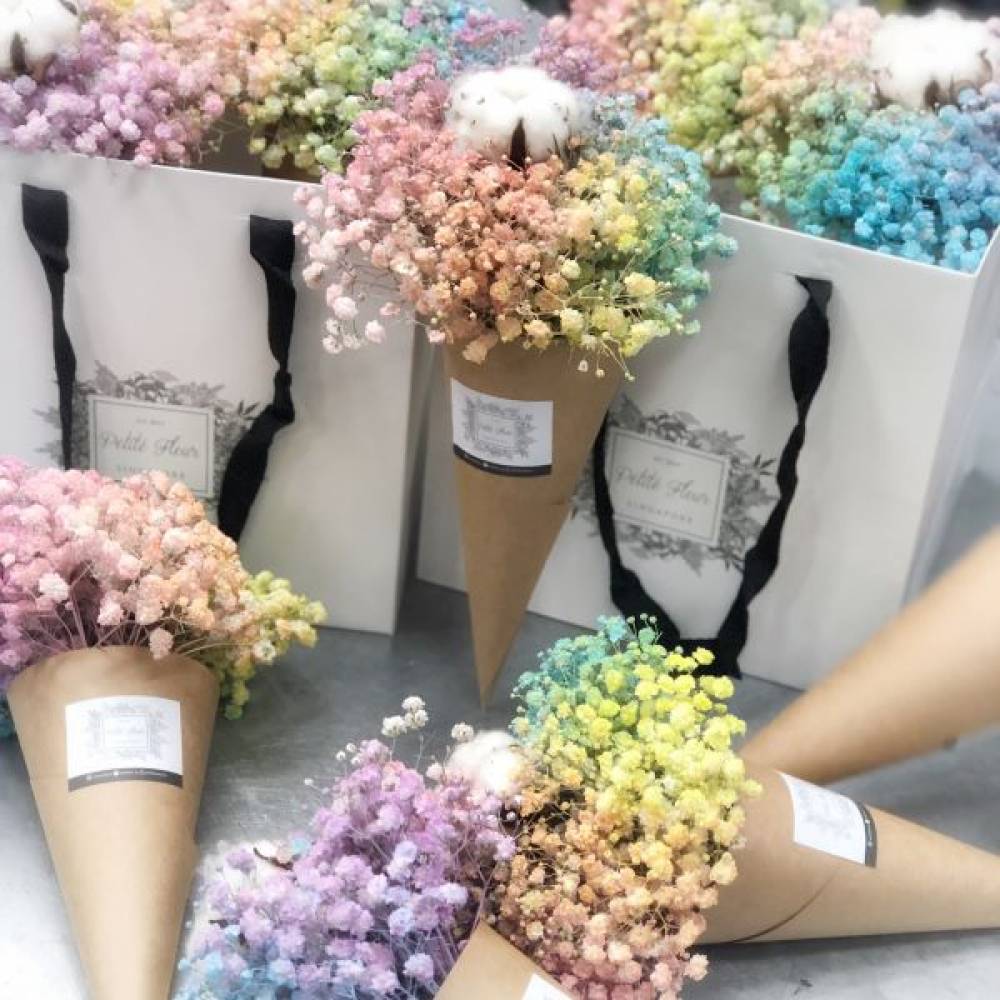 Cotton Dreams