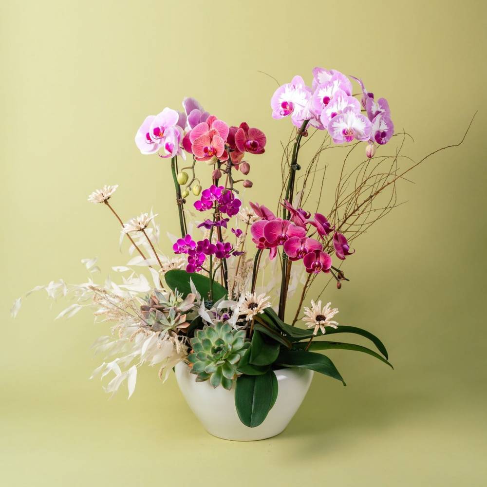 Vibrant Orchid Vase