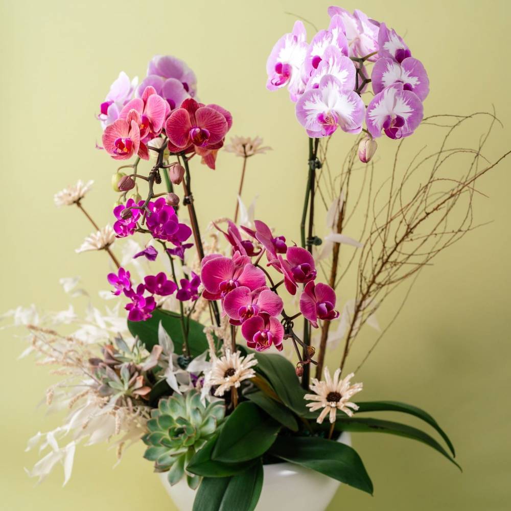 Vibrant Orchid Vase