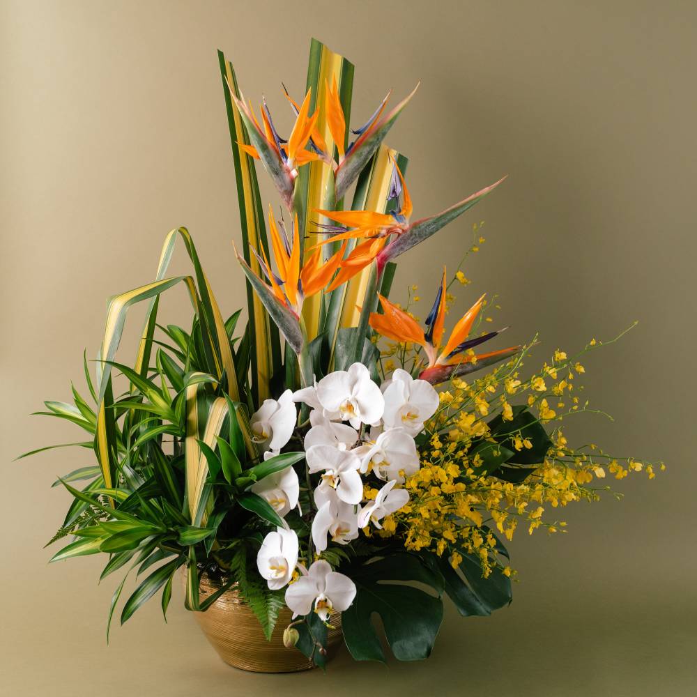 Dancing Lady Orchids Arrangement