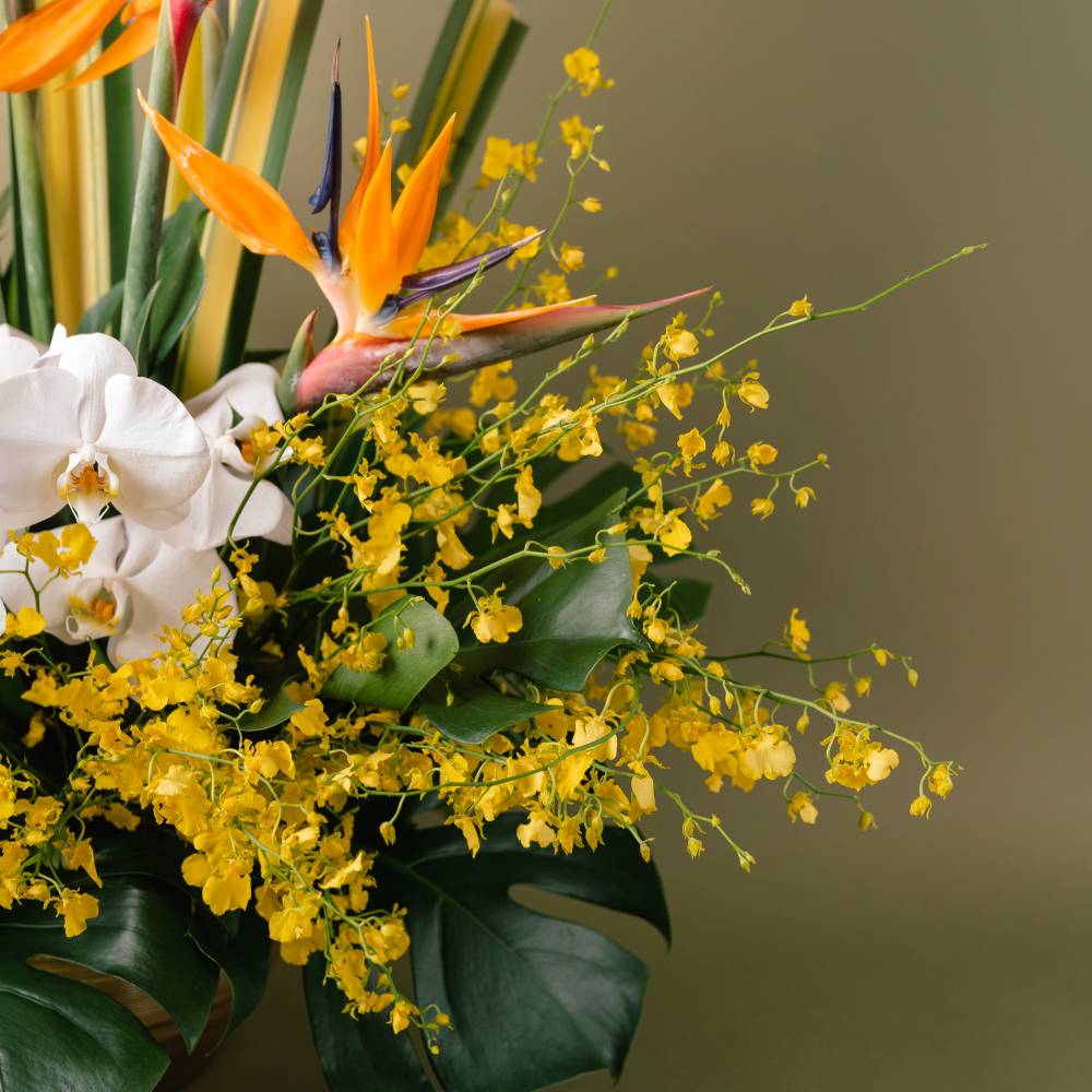 Dancing Lady Orchids Arrangement
