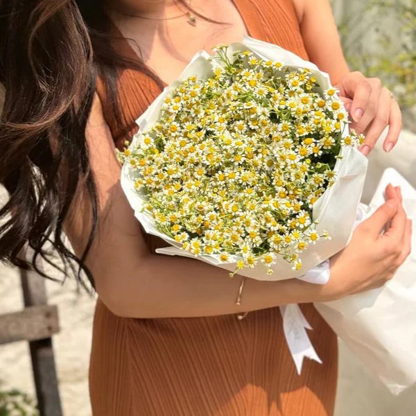 Daisy Éclair