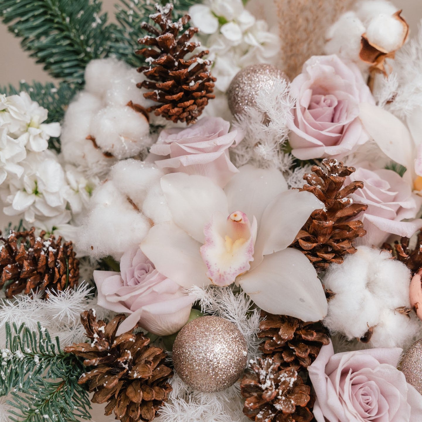 Rosy Christmas Delight