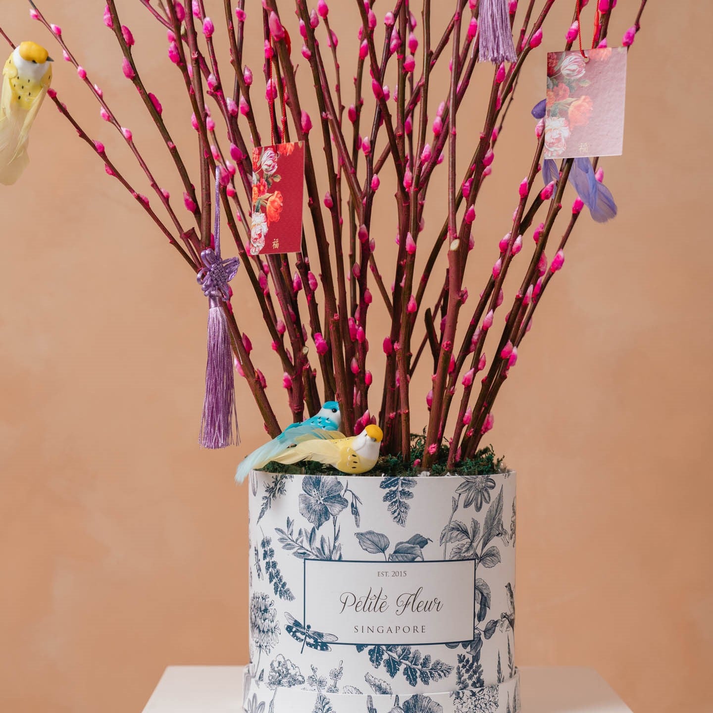 Pussy Willow Flower Box