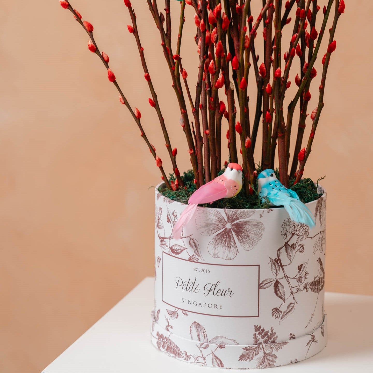 Pussy Willow Flower Box