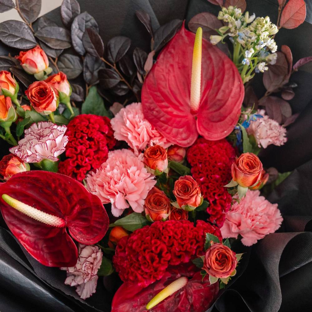 Blushing Bordeaux