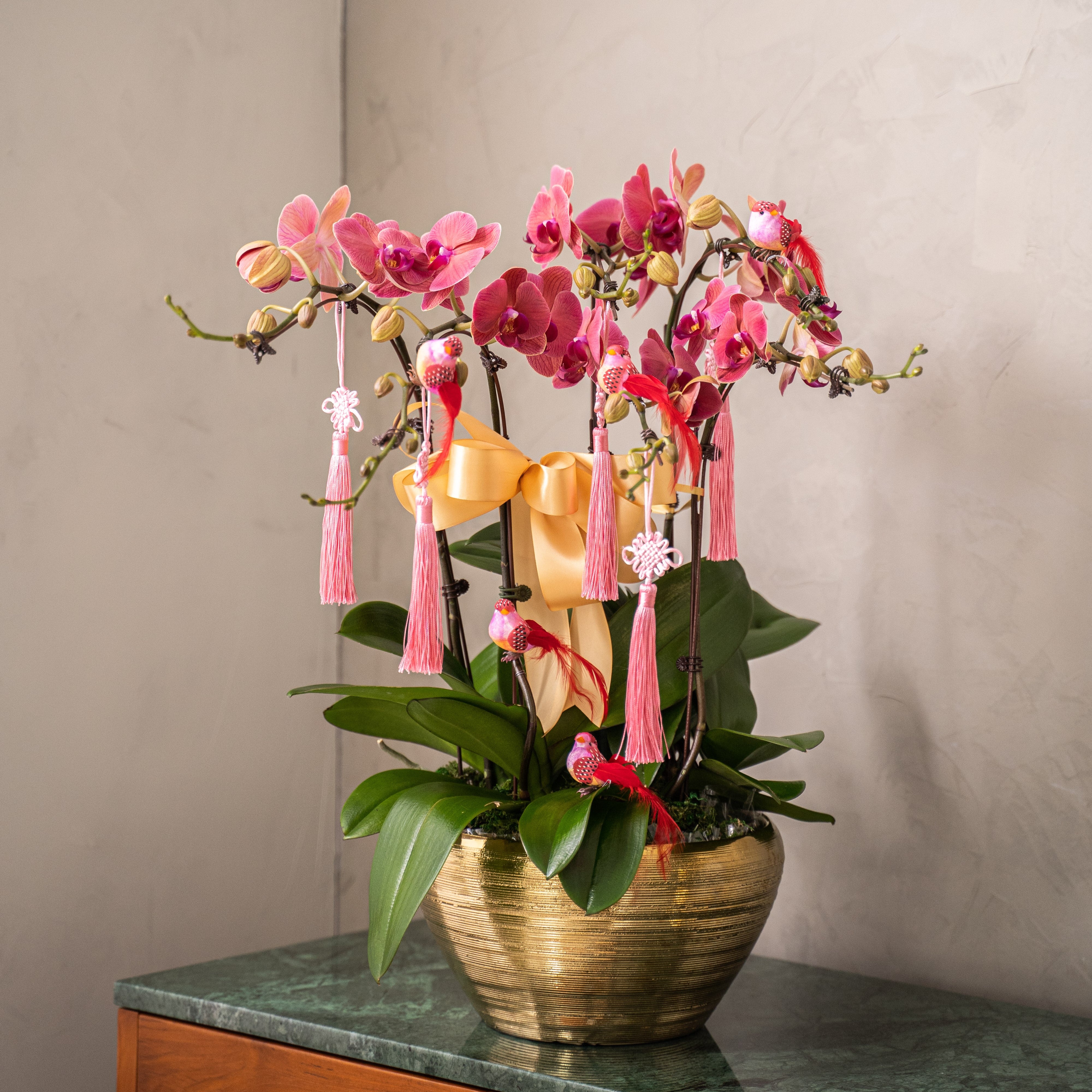 Special Phalaenopsis Orchid Vase