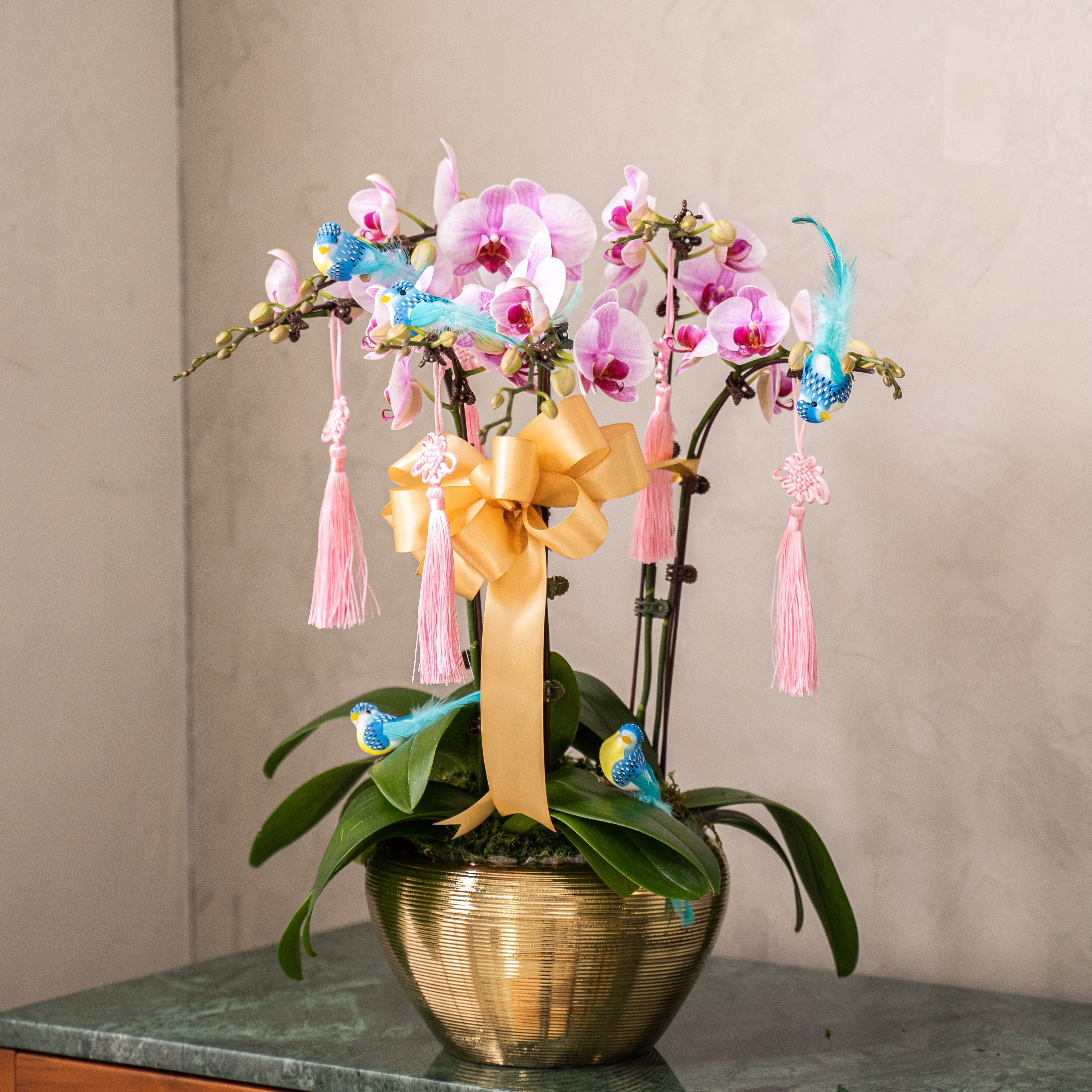 Special Phalaenopsis Orchid Vase