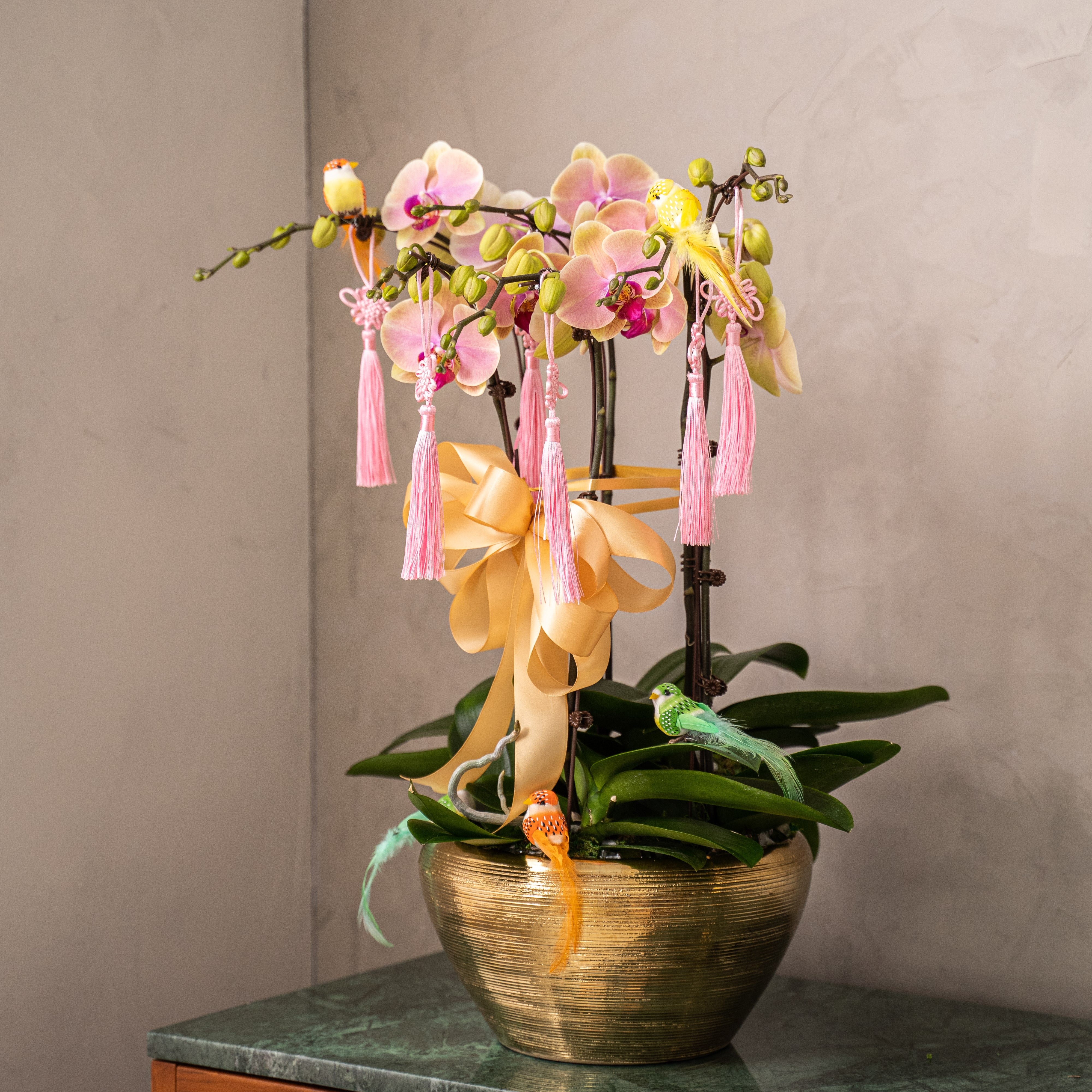 Special Phalaenopsis Orchid Vase