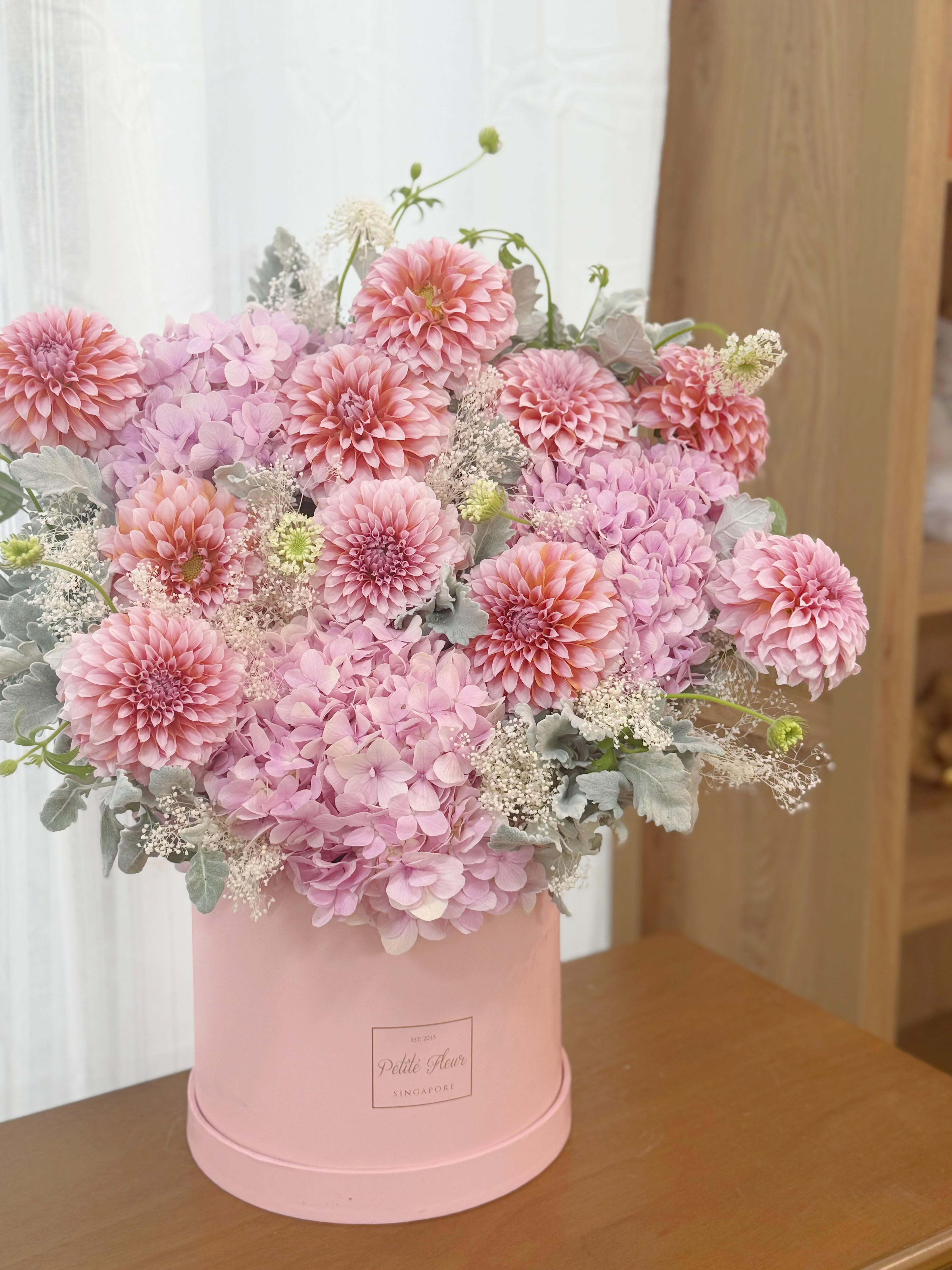 Peony Magic in a Box