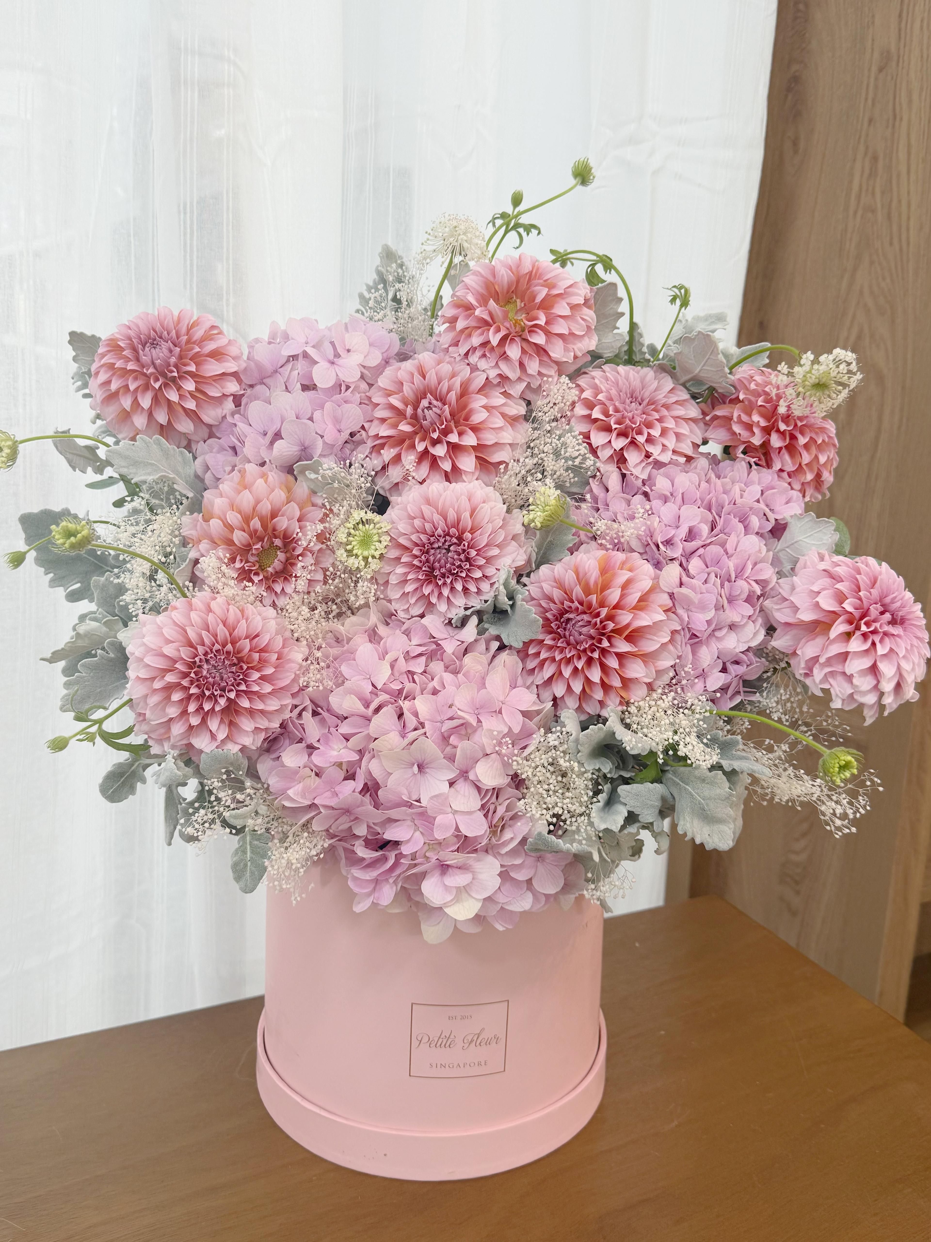Peony Magic in a Box