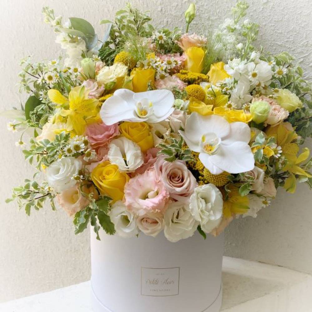 Signature Round Flower Box