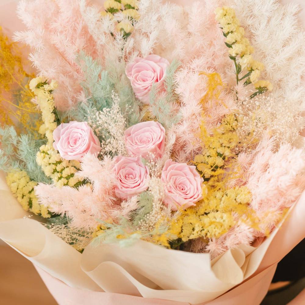 Soft Petal Dreams
