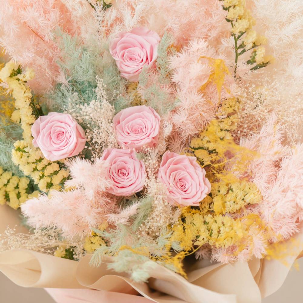 Soft Petal Dreams