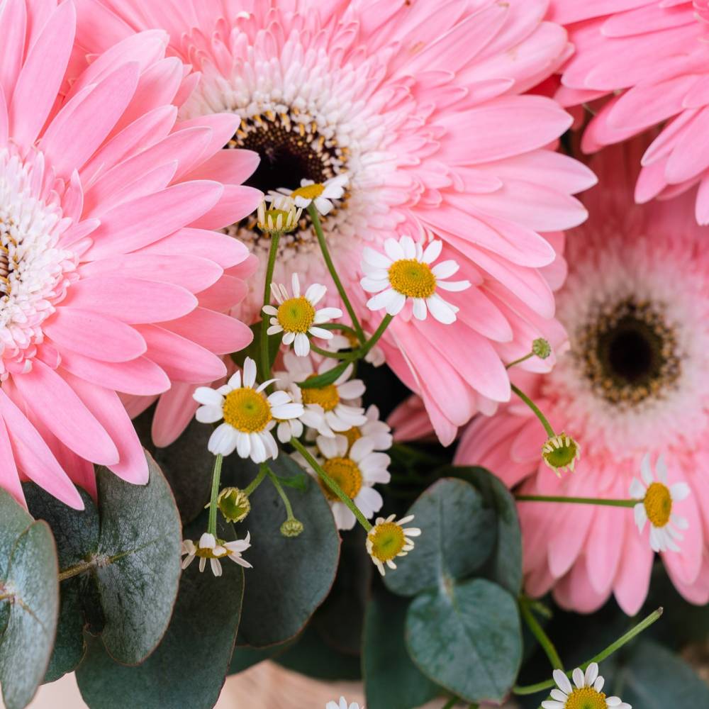 Basketful of Daisies