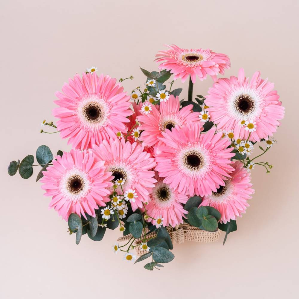 Basketful of Daisies