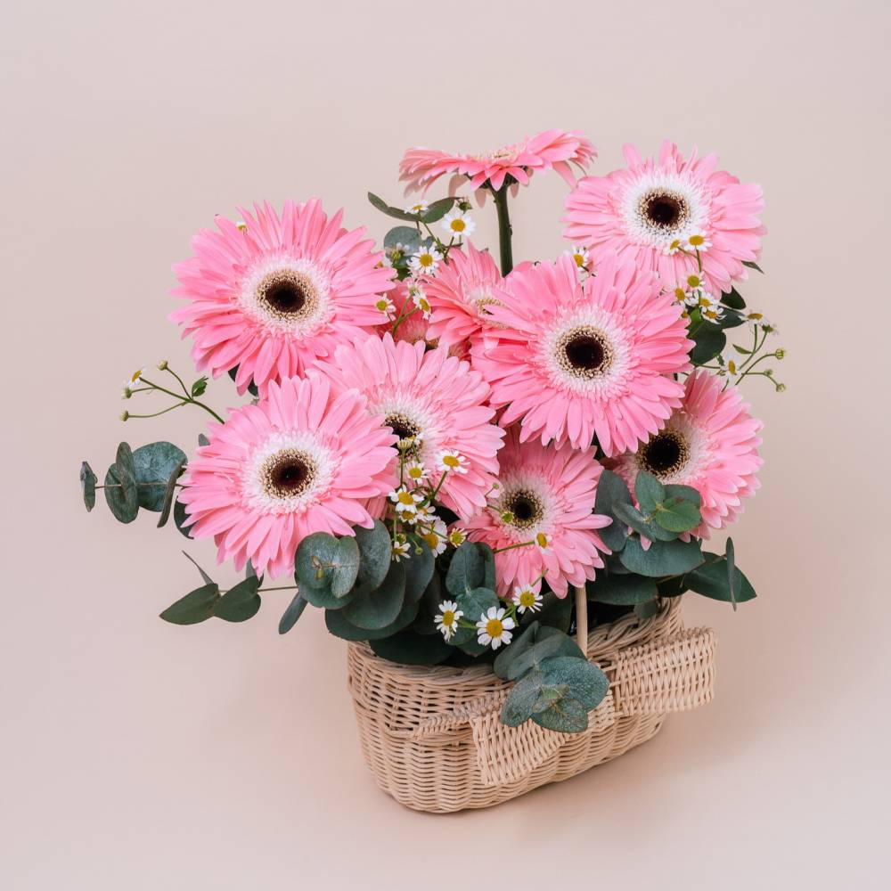 Basketful of Daisies