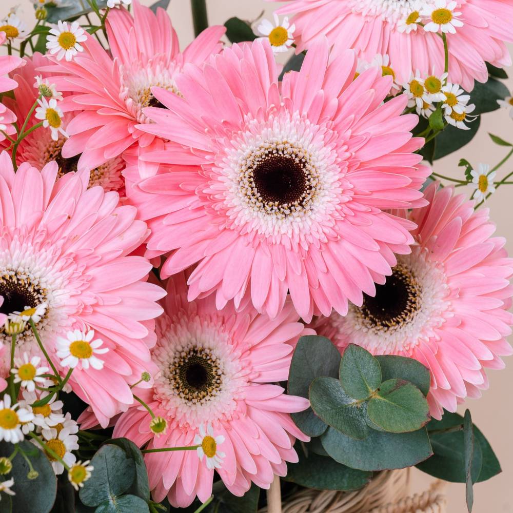 Basketful of Daisies