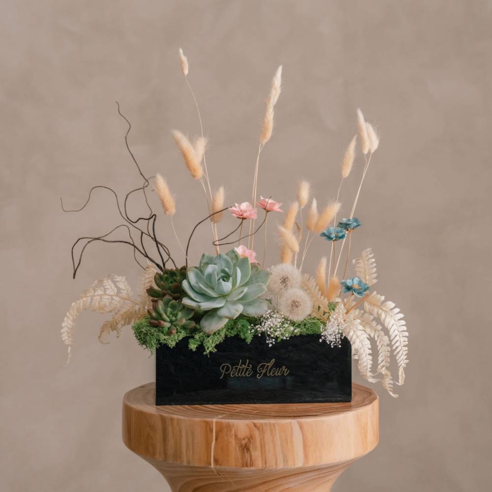Succulent Special Gift