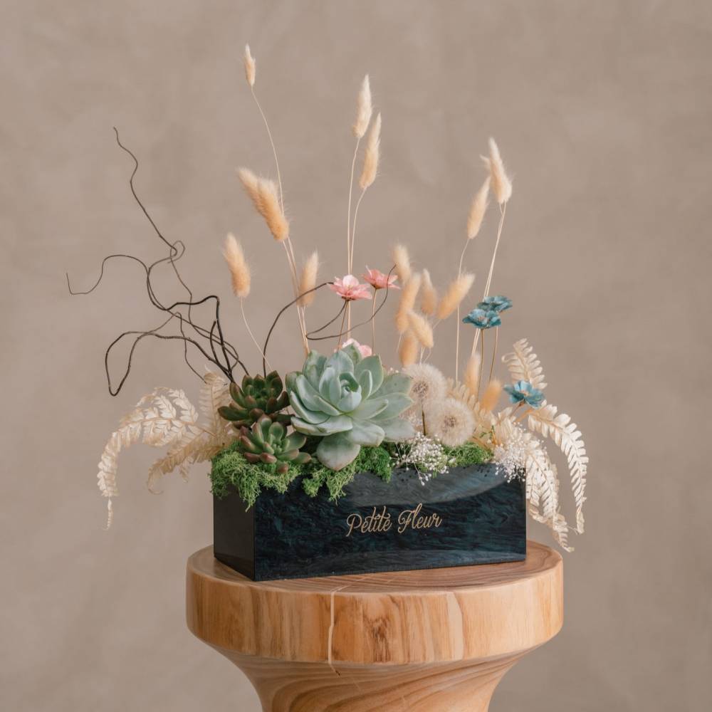 Succulent Special Gift