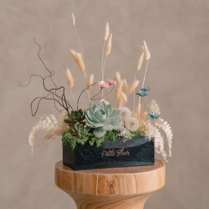 Succulent Special Gift
