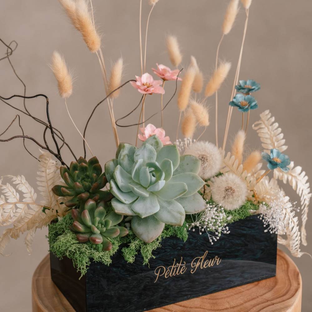 Succulent Special Gift