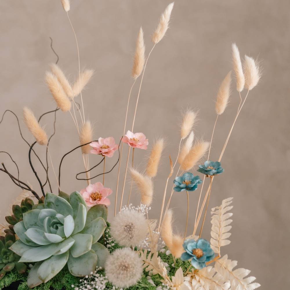 Succulent Special Gift