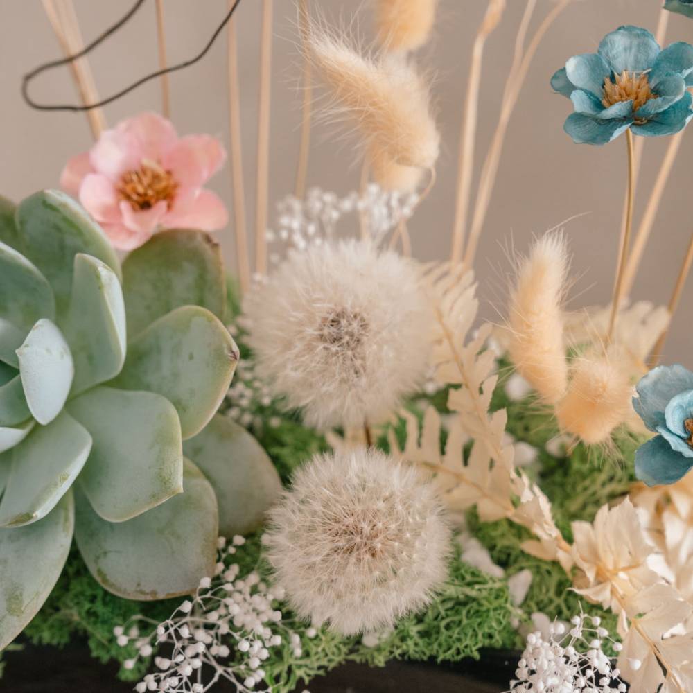 Succulent Special Gift