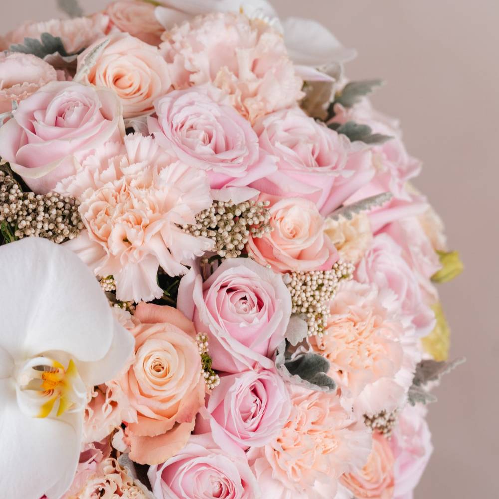 Petals Of My Heart