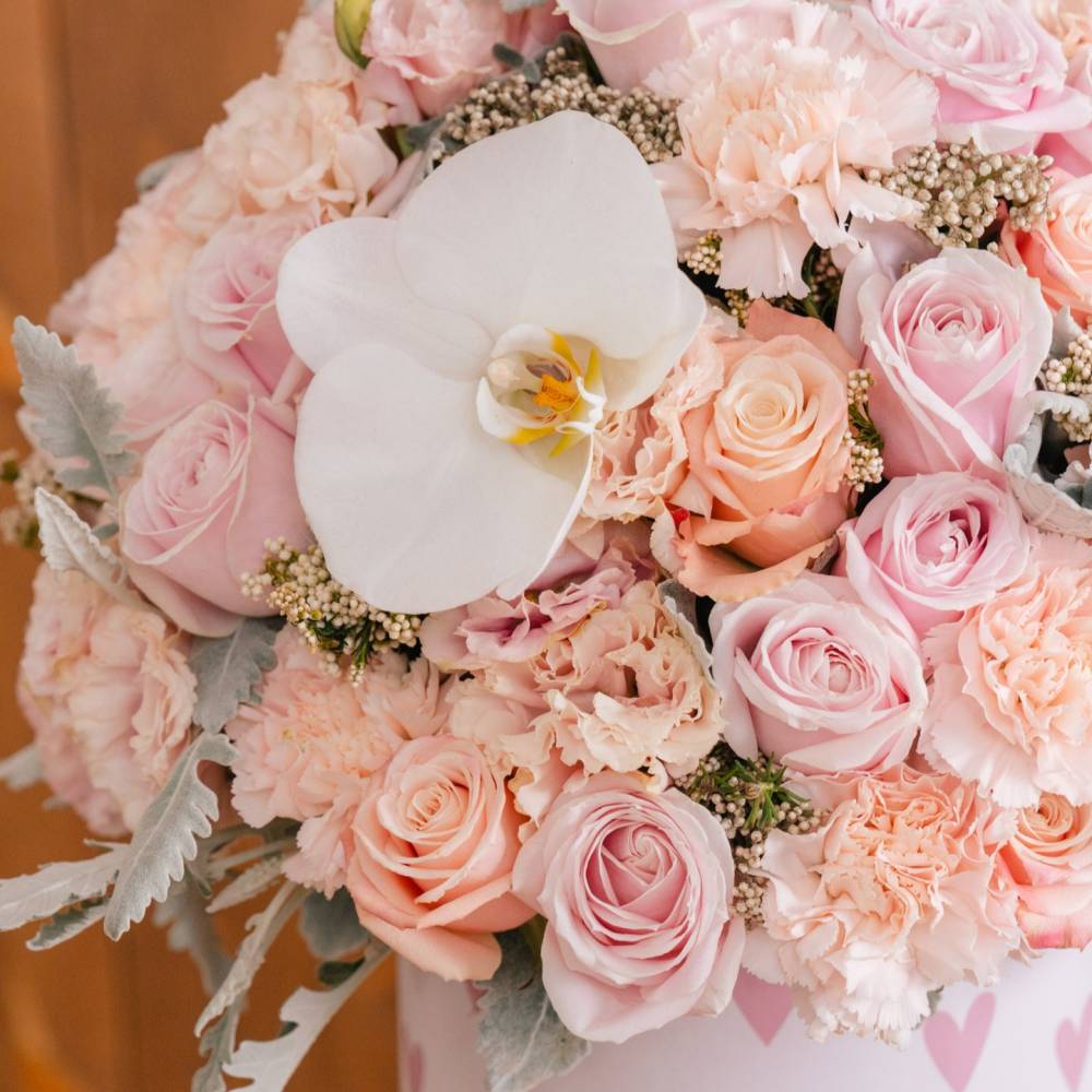 Petals Of My Heart