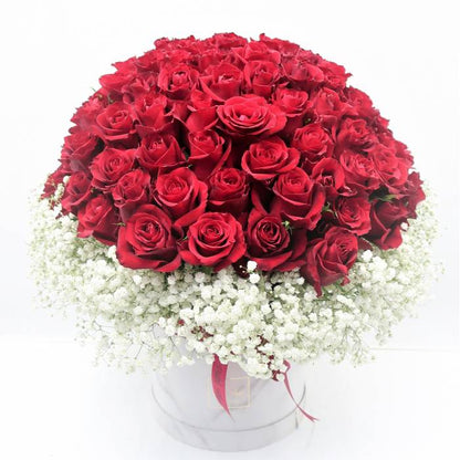 99 Premium Roses with Gypsophila
