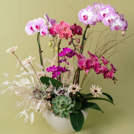 Vibrant Orchid Vase