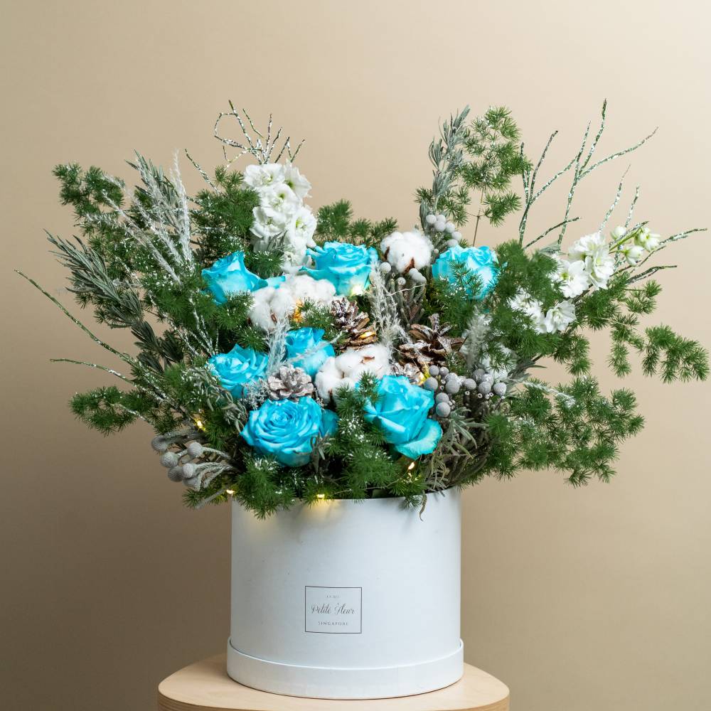 Christmas Wonderland