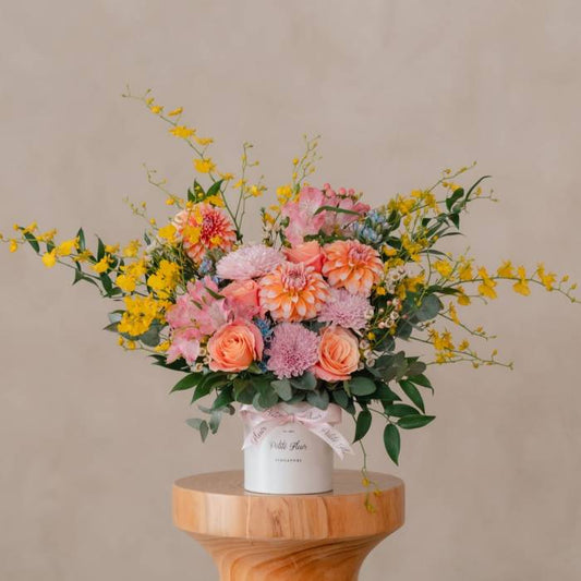 Dahlia Surprise