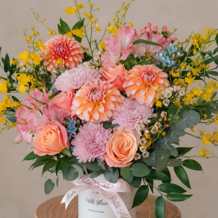 Dahlia Surprise