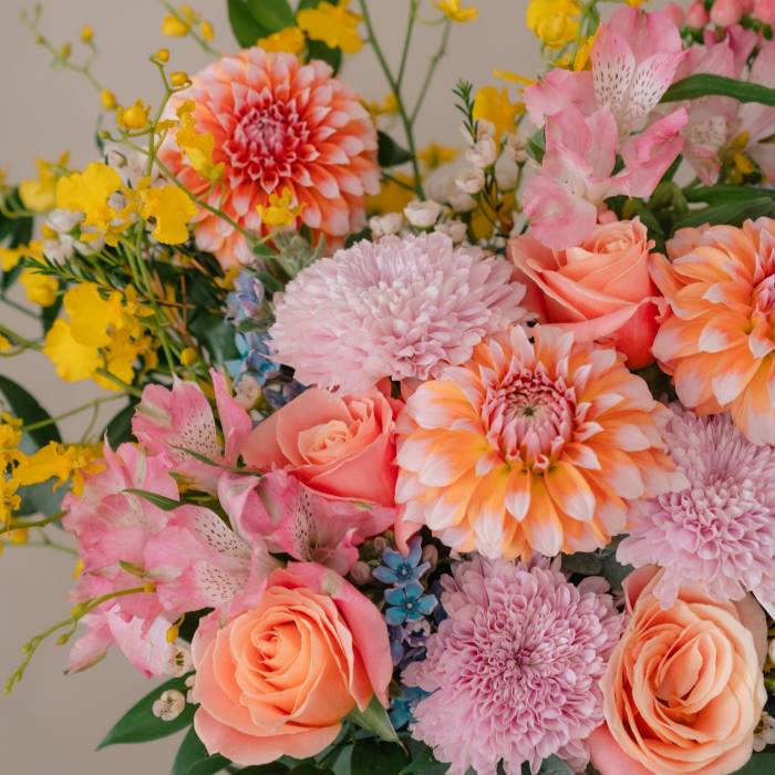 Dahlia Surprise