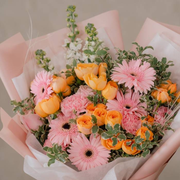 Gerbera Glow