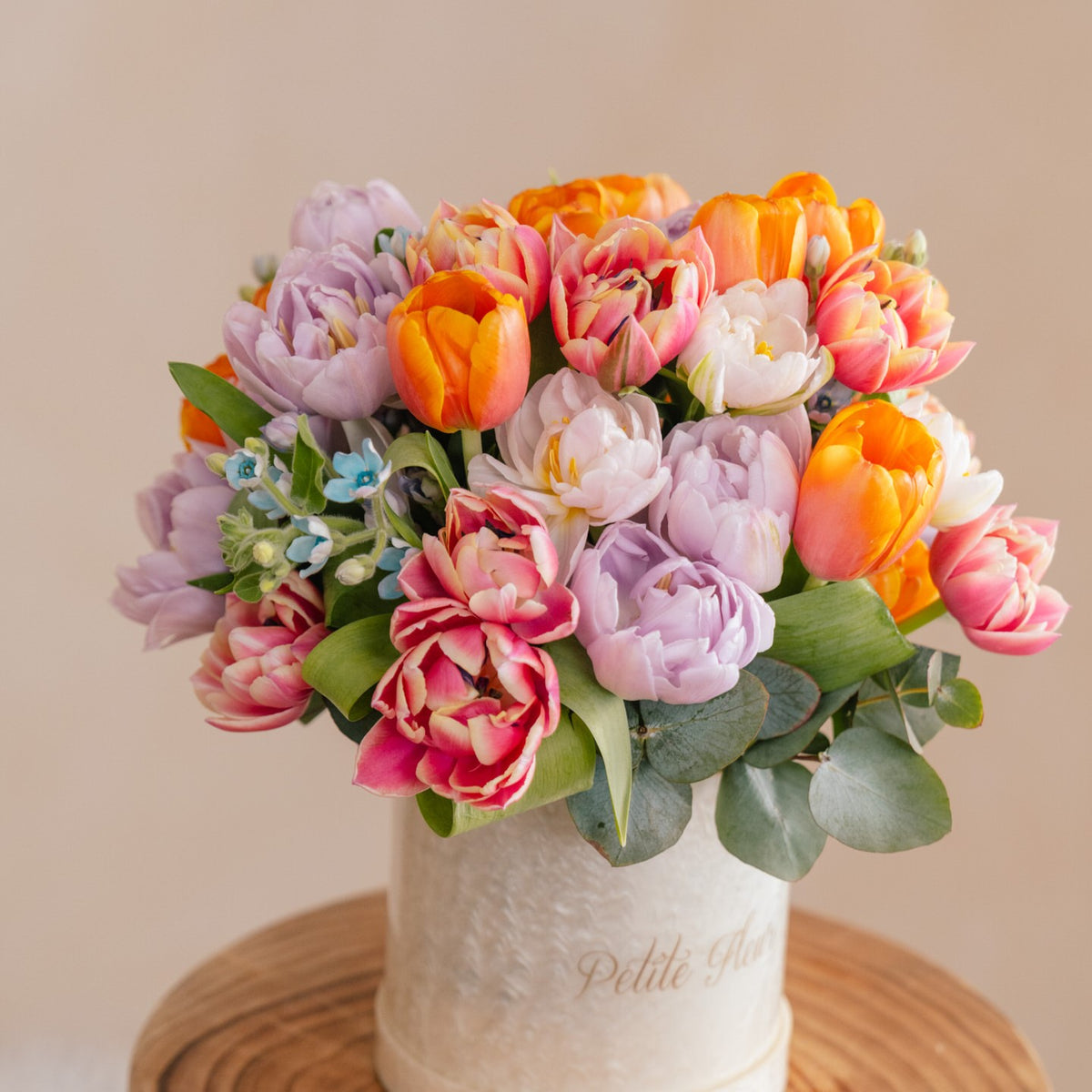Tulips In Color
