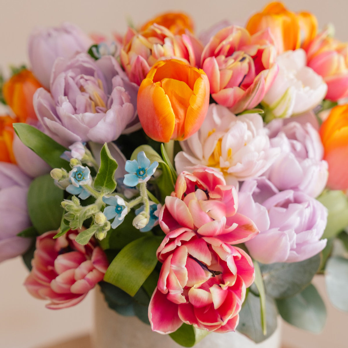 Tulips In Color