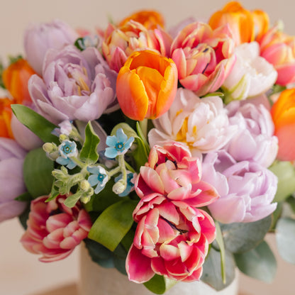 Tulips In Color