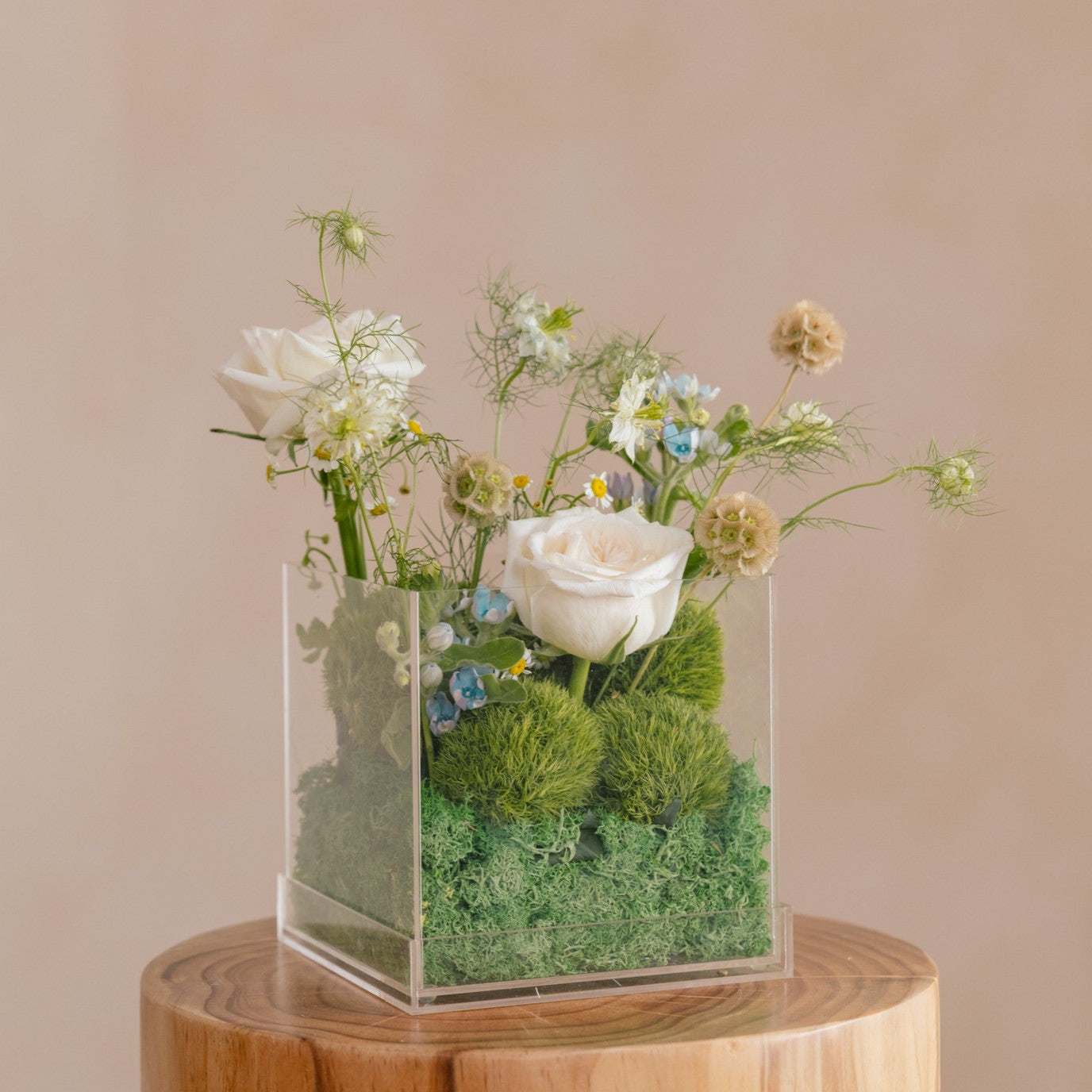 Meadow Breeze