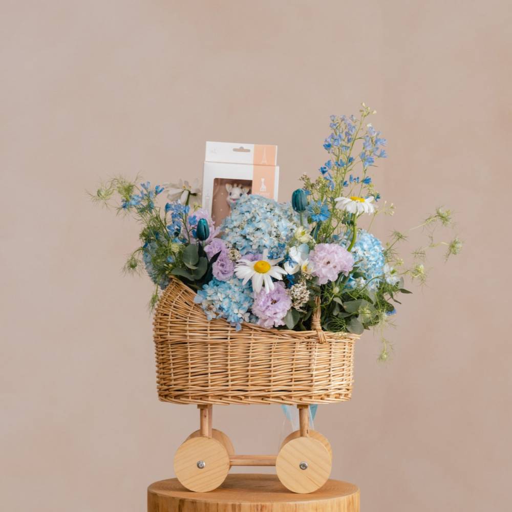 Sweet Petal and Plush Stroll