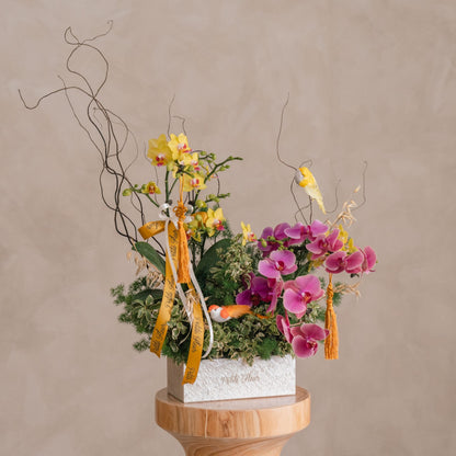 Spring Orchid Garden