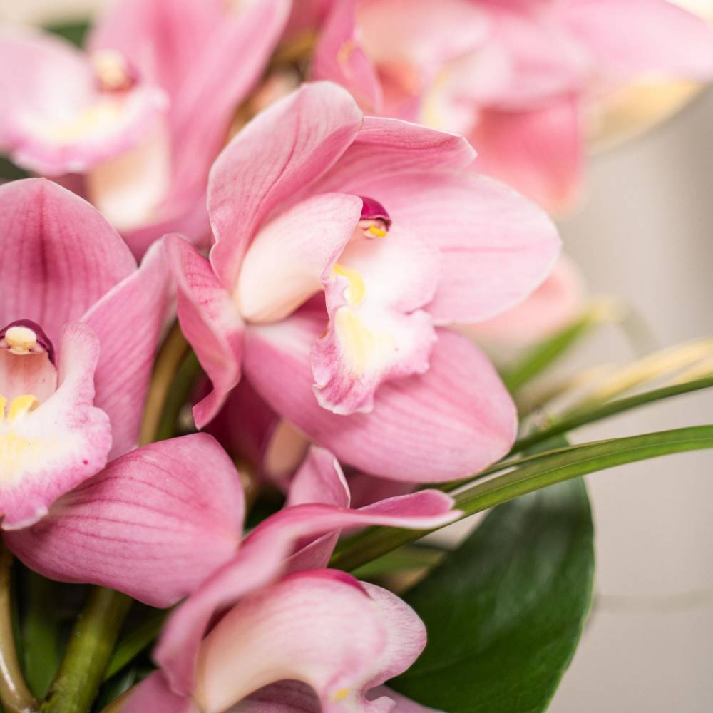 Dainty Pink Orchid Arrangement