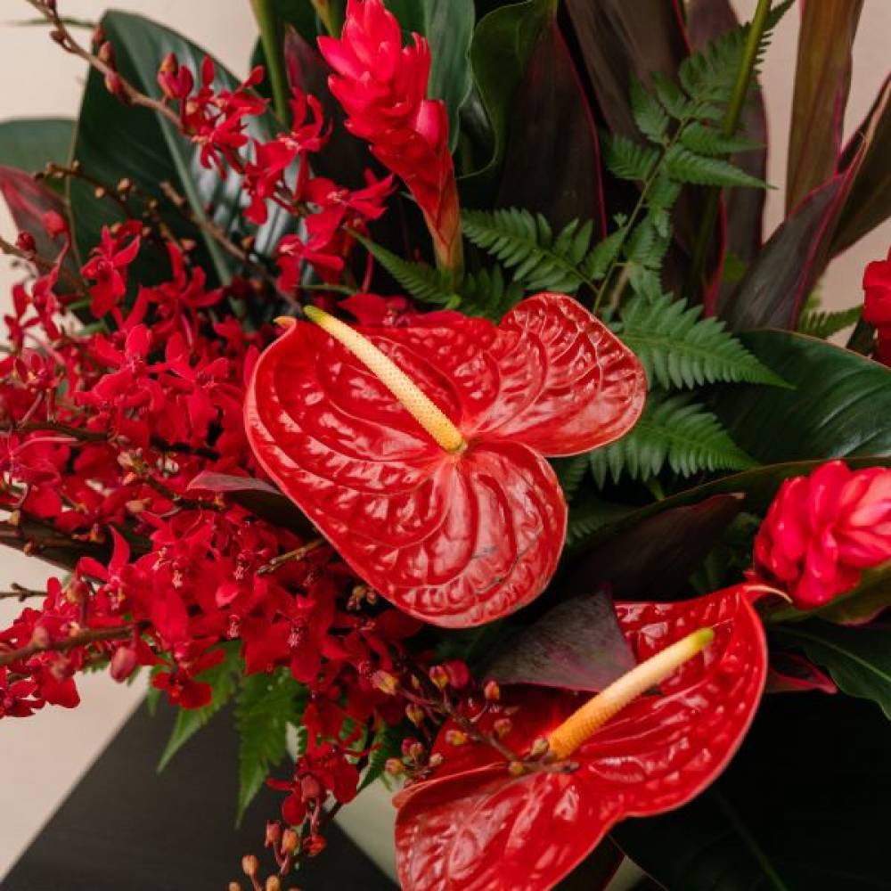 Fiery Passion
