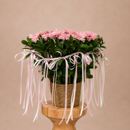 Gerbera Daisy Basket Arrangement