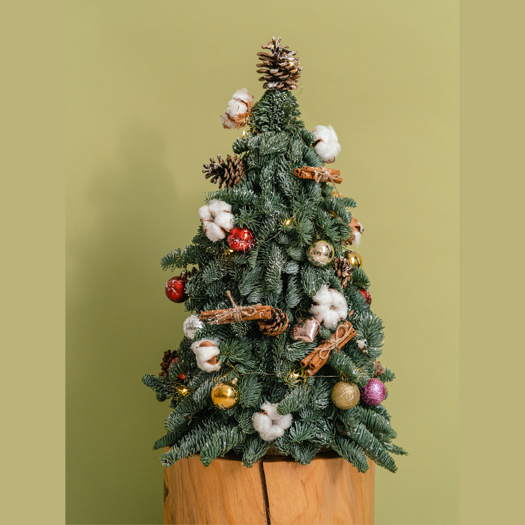 Fresh Petite Christmas Tree